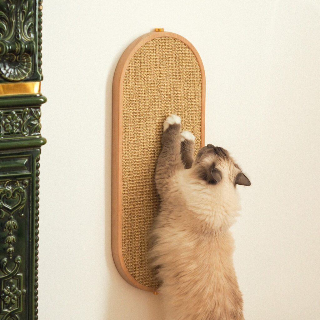 Griffoir design chat