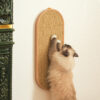Griffoir design pour chat Milo de la marque KOUTIE, un griffoir mural pour chat