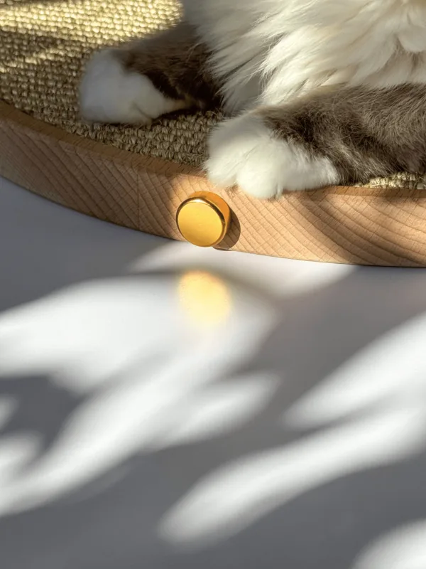 griffoir design pour chat coloré avec un chat