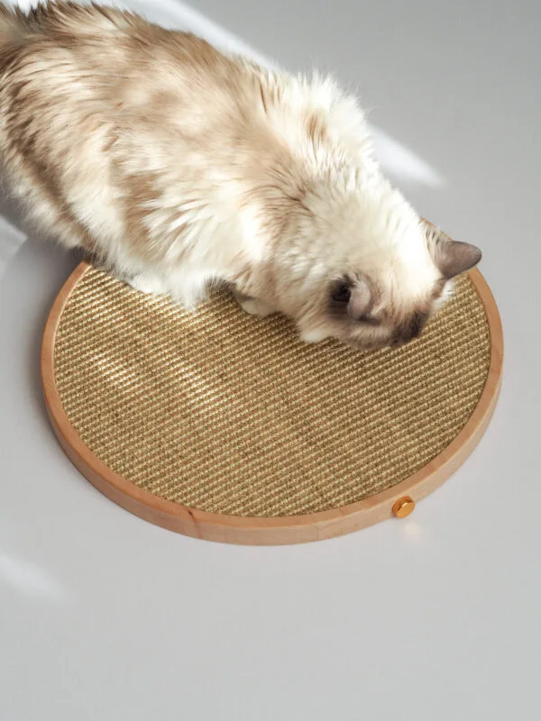 griffoir design pour chat rond